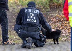 ZFC Meuselwitz FC Carl Zeiss Jena 23112024 33